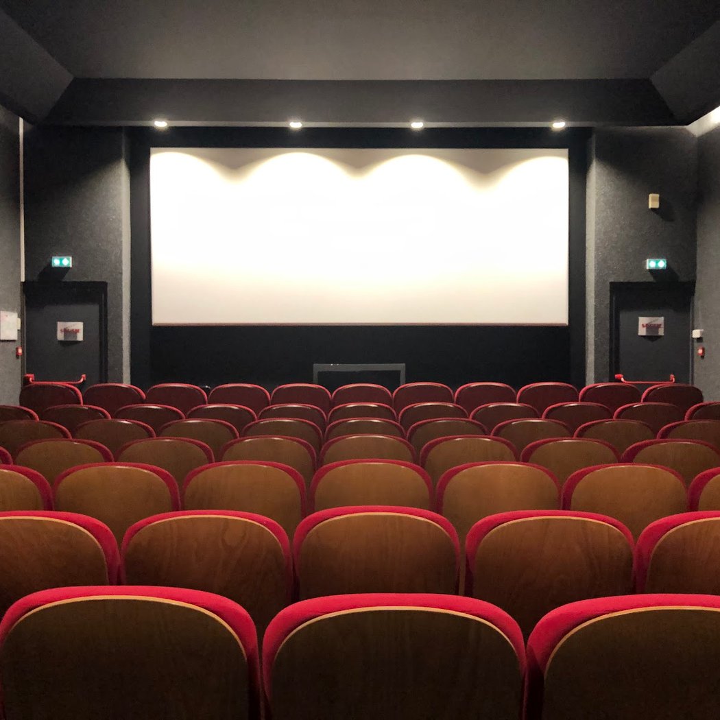 Cinéma Le Domino 1
